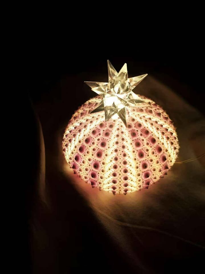 Handmade Sea Urchin Lamp - photo 2