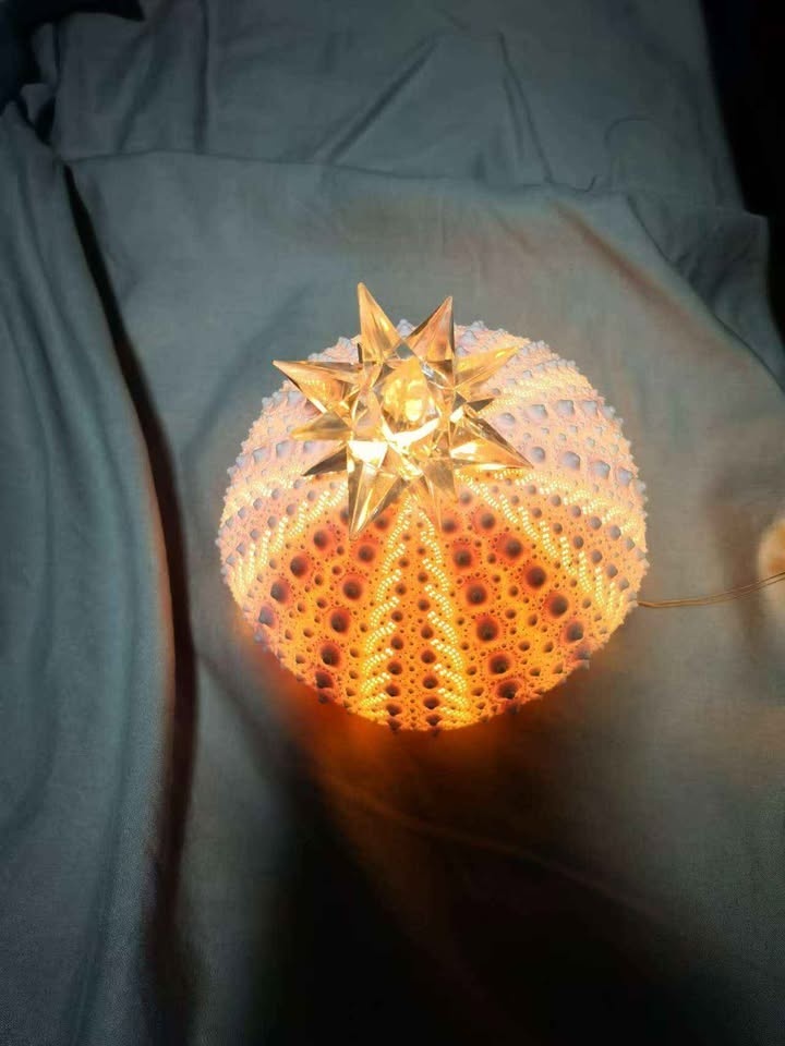 Handmade Sea Urchin Lamp - photo 3