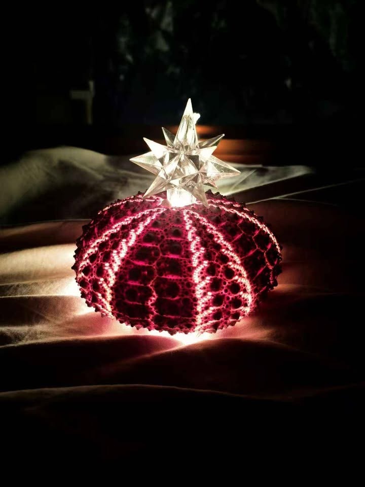 Handmade Sea Urchin Lamp - photo 4