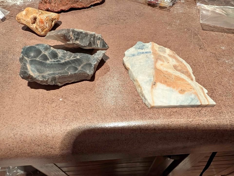 Rocks specimens and petrified wood