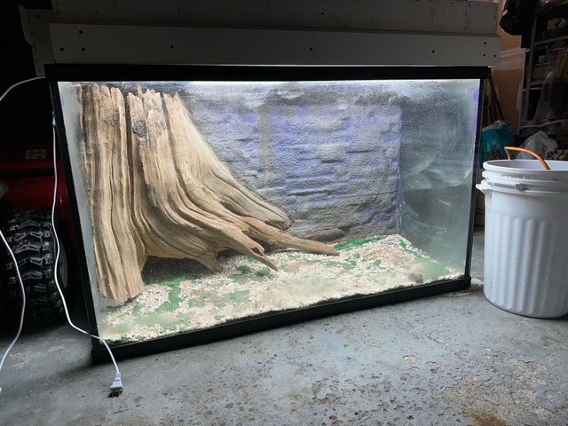 90 Gallon Fish Tank