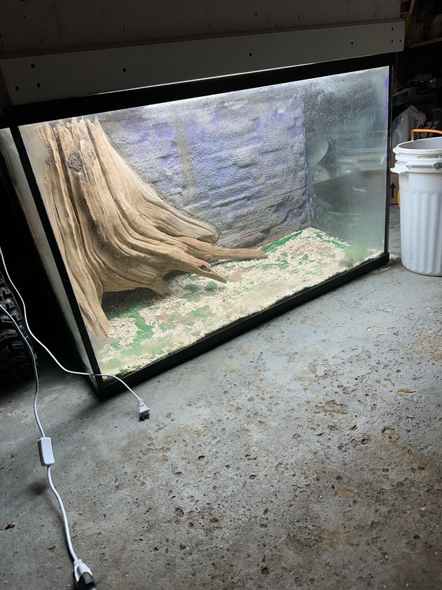90 Gallon Fish Tank - photo 2
