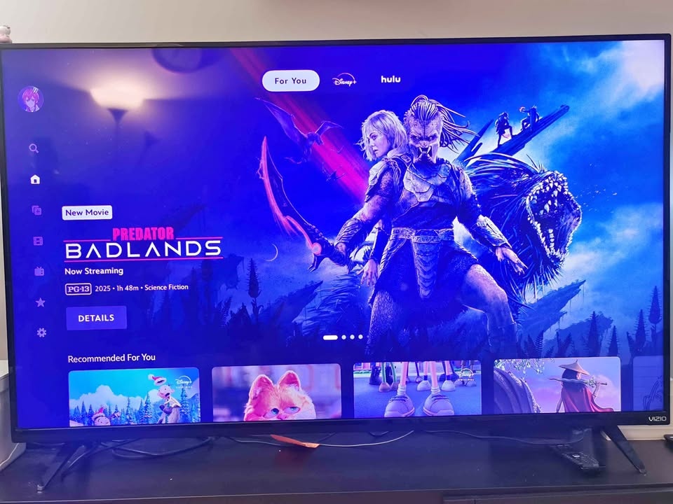 VIZIO 58 Inch LED TV