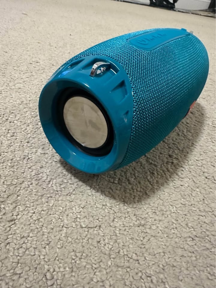 Speaker T&G - photo 2