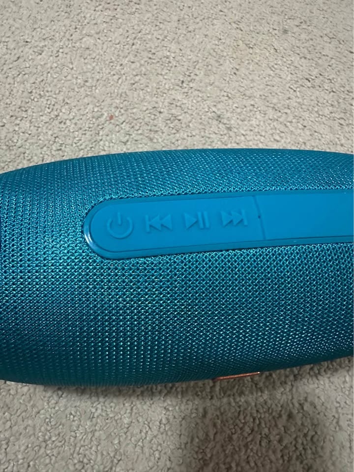 Speaker T&G - photo 3