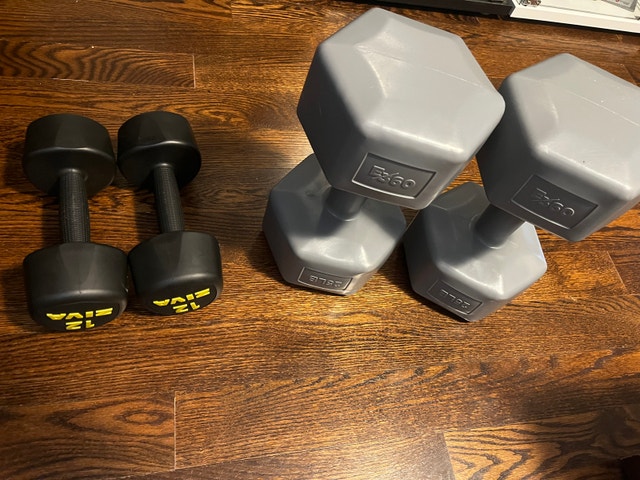 25 Pound Dumbbells