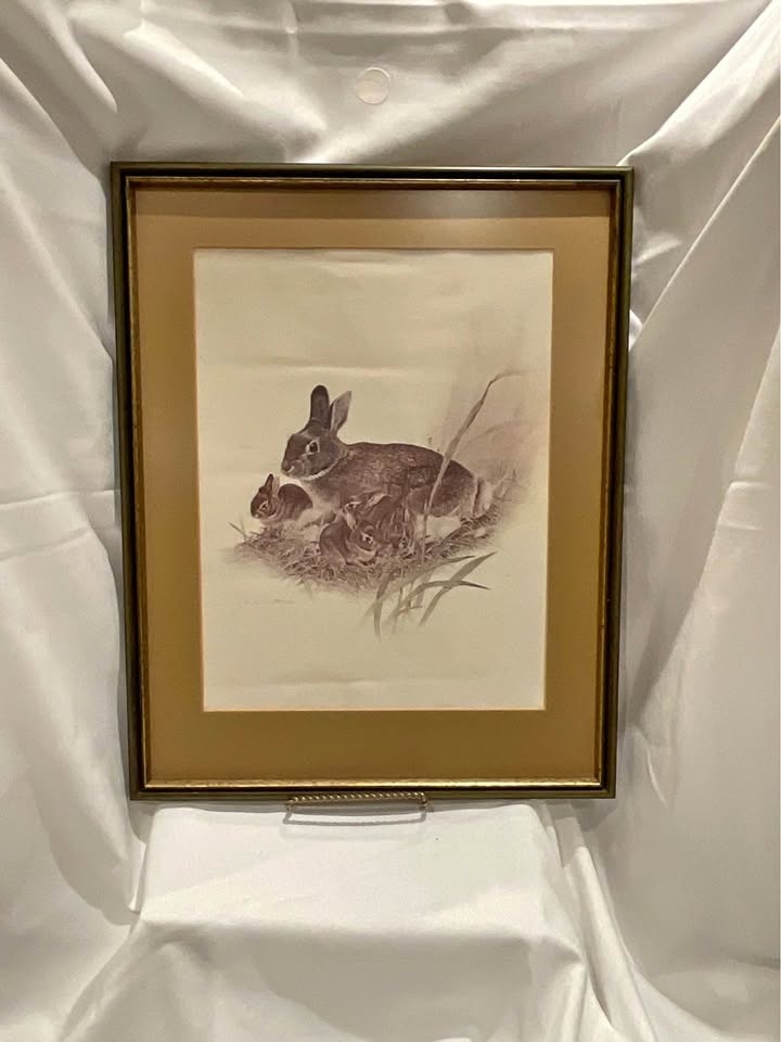 Print Vintage Bunny