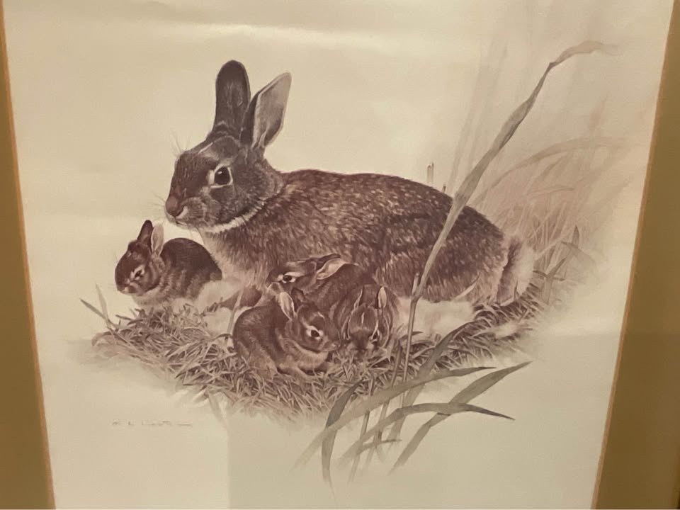 Print Vintage Bunny - photo 2