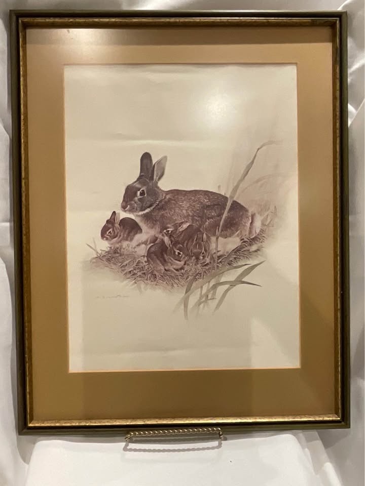 Print Vintage Bunny - photo 4