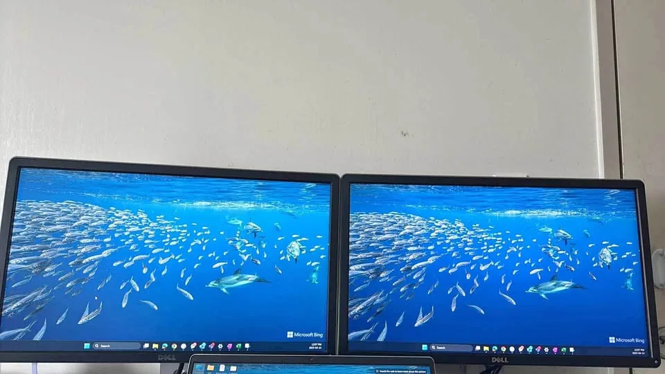 Dell Screen thumbnail