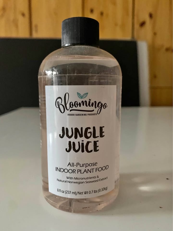 Bloomingo Jungle Juice Indoor Plant Food 8 fl oz