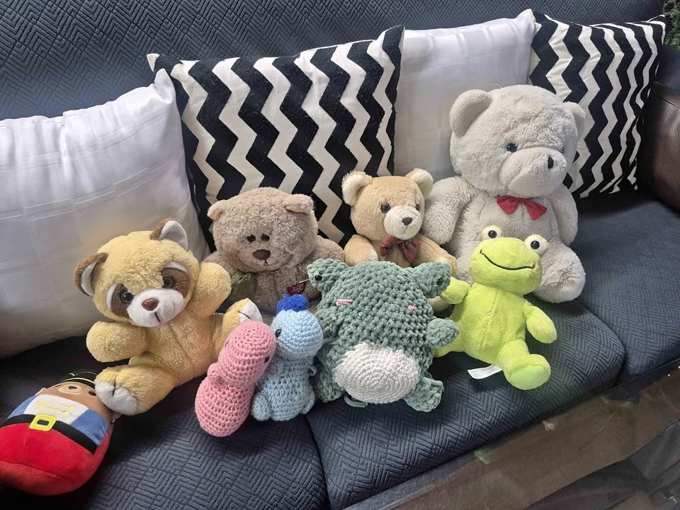 Assorted stuff toys and bears
