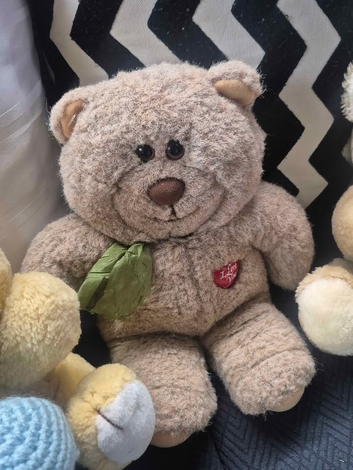 Assorted stuff toys and bears - photo 4