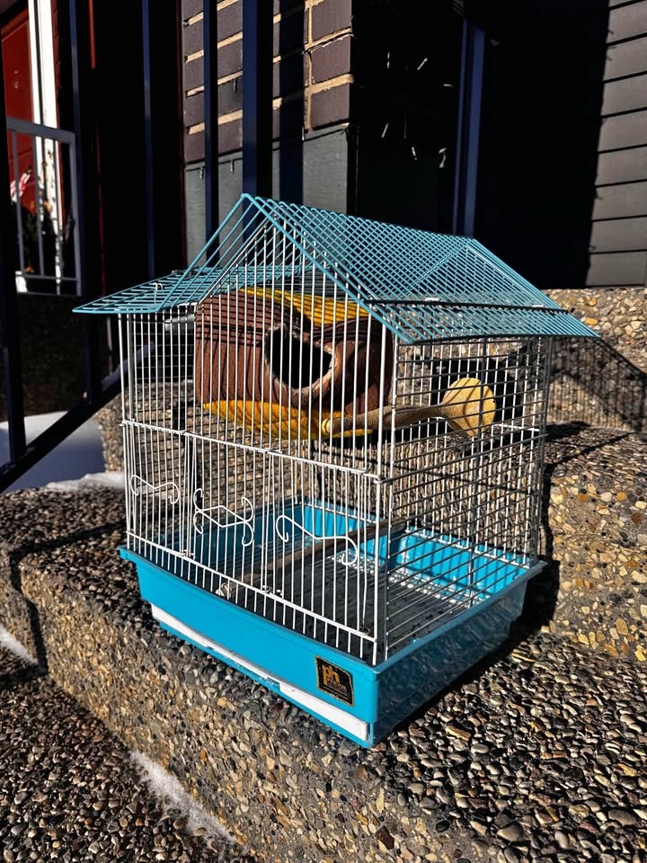 Bird Cage with Warm Bed