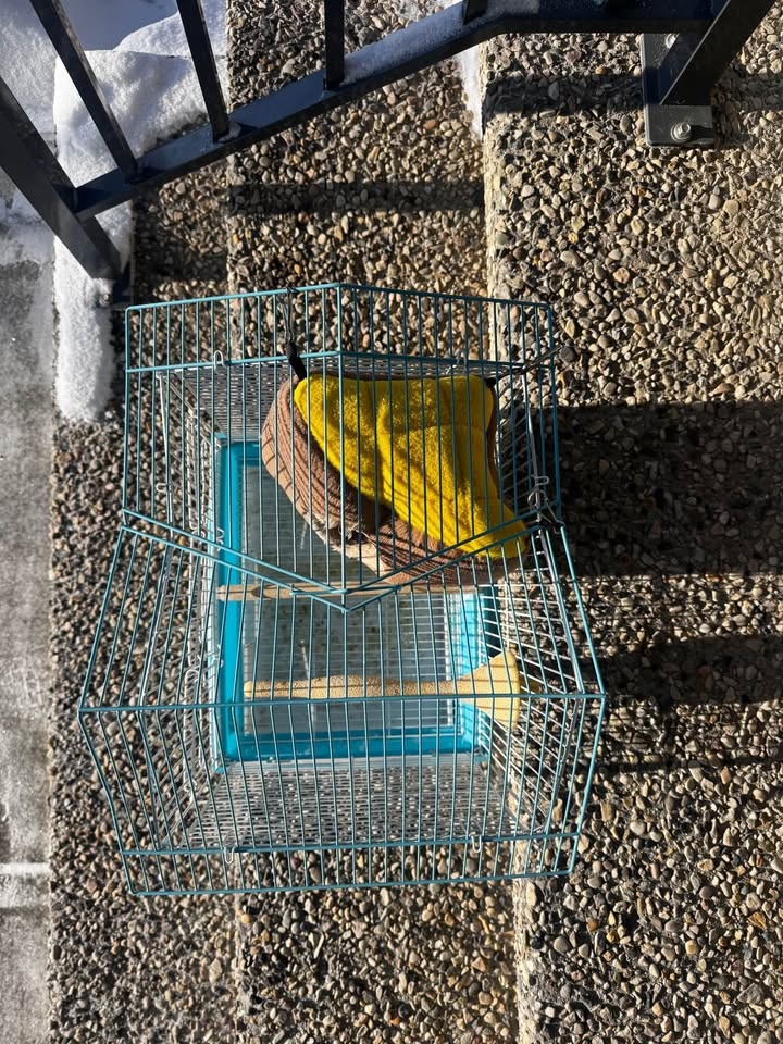 Bird Cage with Warm Bed - photo 3