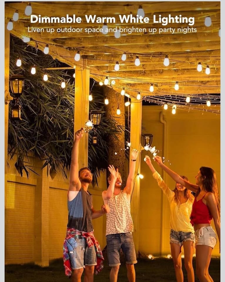 New brand  Smart Outdoor String Lights  48ft RGBIC - photo 5