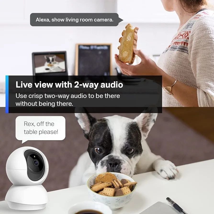 NEW Pet Camera – 2K 360° WiFi | Color Night Vision | 2-Way Audio - photo 4