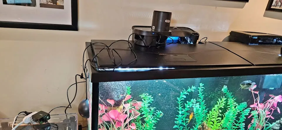 WiFi Automatic Fish Feeder with HD Camera and App Control thumbnail