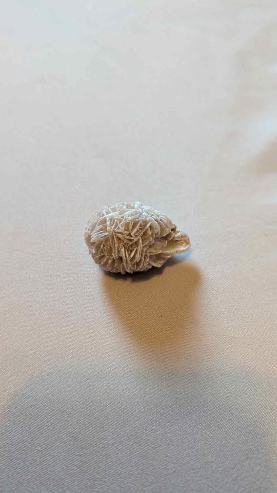 Desert Rose Selenite