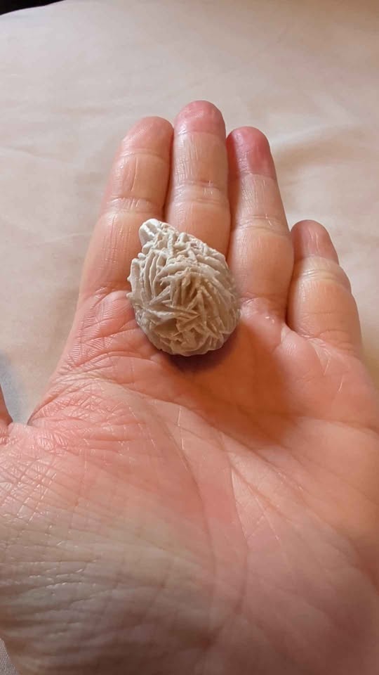 Desert Rose Selenite - photo 2