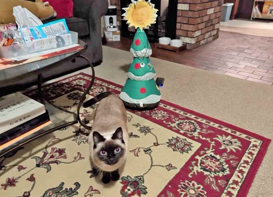Inflatable Christmas Tree