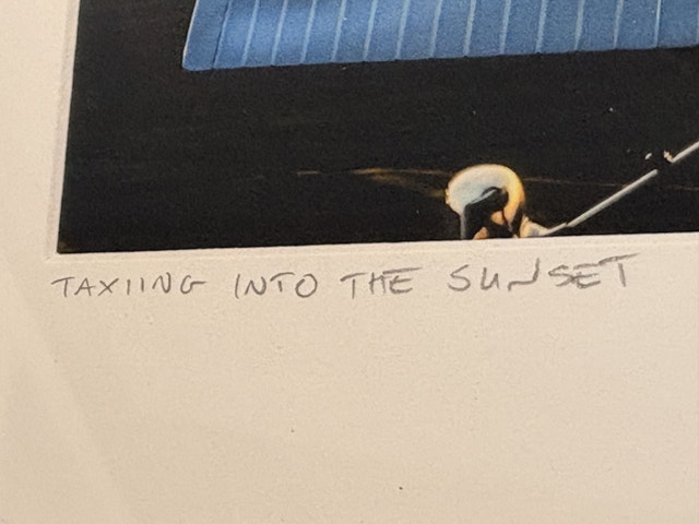 Cessna 172 Skyhawk Aircraft Original Picture Frame - photo 3