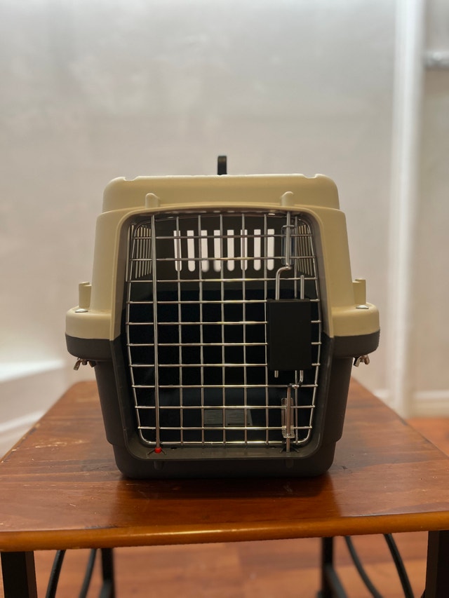Cat Carrier & Accessories