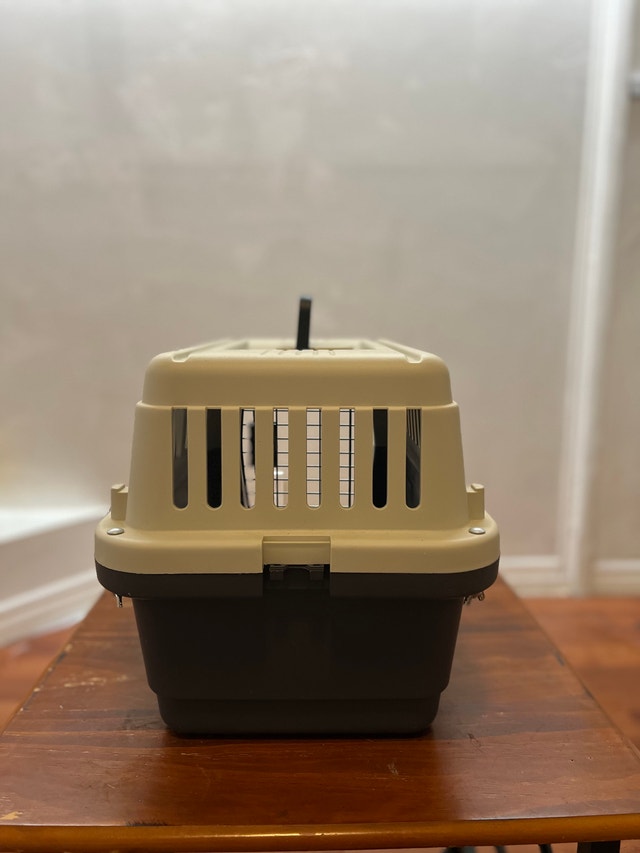 Cat Carrier & Accessories - photo 3