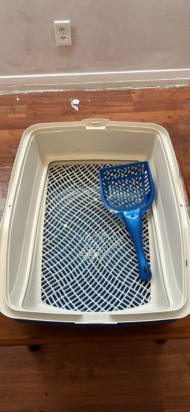 Cat Carrier & Accessories - photo 4