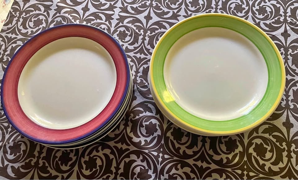 VINTAGE HOMER LAUGHLIN BRUSH BAND 9" PLATES