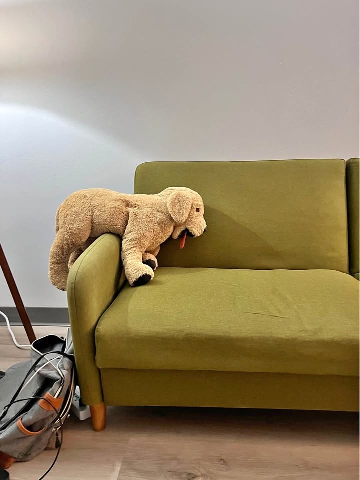 Sleeper Sofa