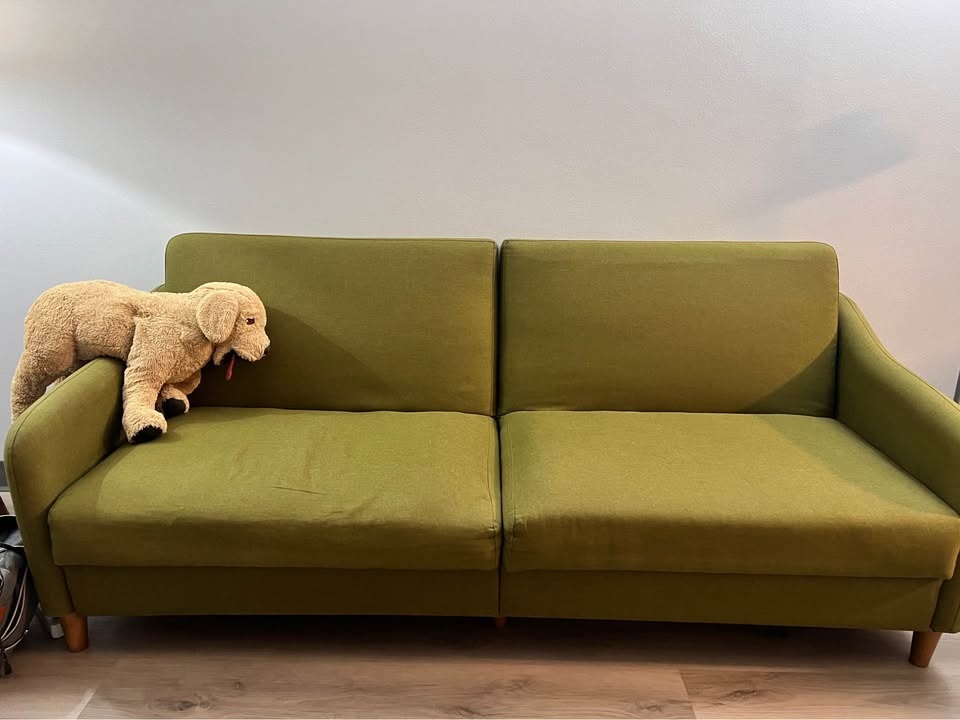 Sleeper Sofa - photo 3