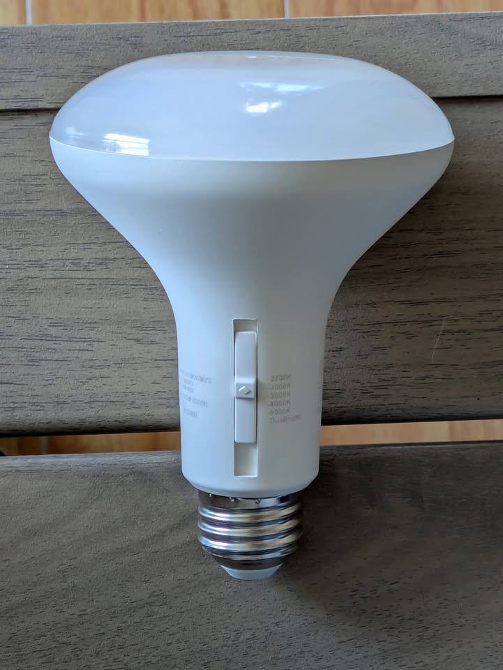 LED Bulbs - 4 pack BR30