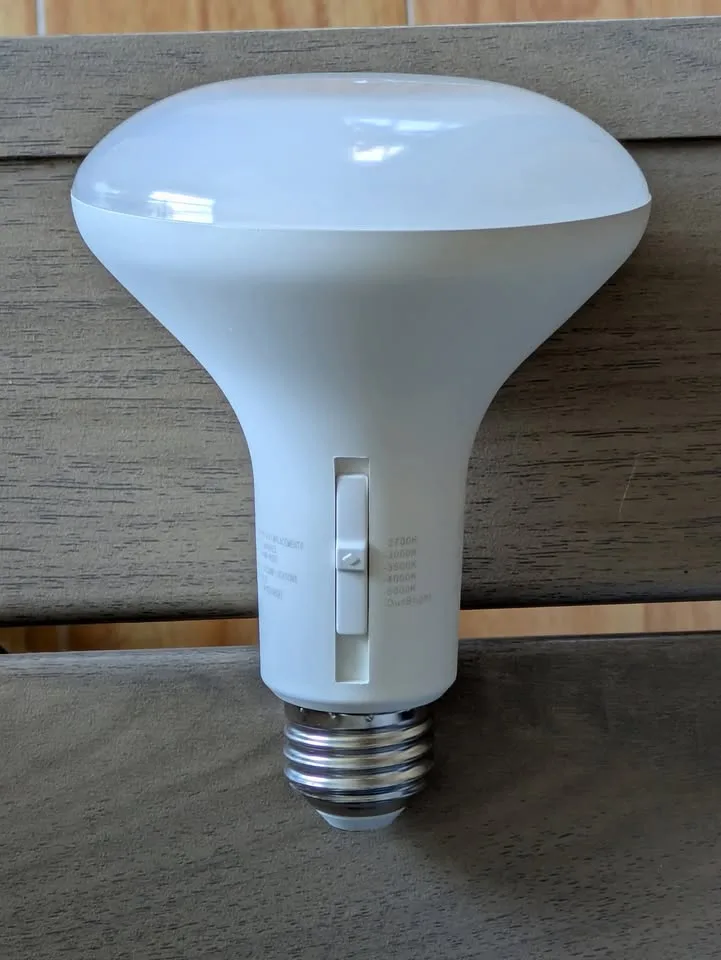 LED Bulbs - 4 pack BR30