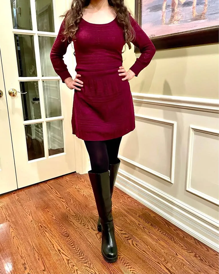 AMERICAN EAGLE OUTFITTERS BURGUNDY SWEATER KNIT DRESS thumbnail