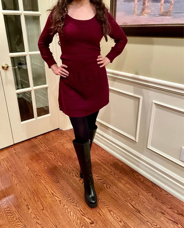 AMERICAN EAGLE OUTFITTERS BURGUNDY SWEATER KNIT DRESS image indicator(2)