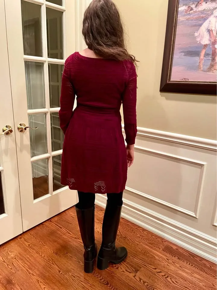 AMERICAN EAGLE OUTFITTERS BURGUNDY SWEATER KNIT DRESS image indicator(3)