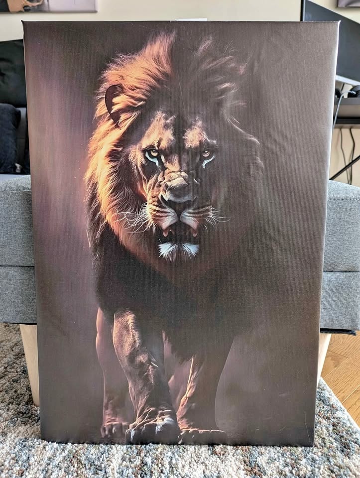 Fierce Lion Gallery Wrapped Canvas Wall Art 17.5" x 25.5"