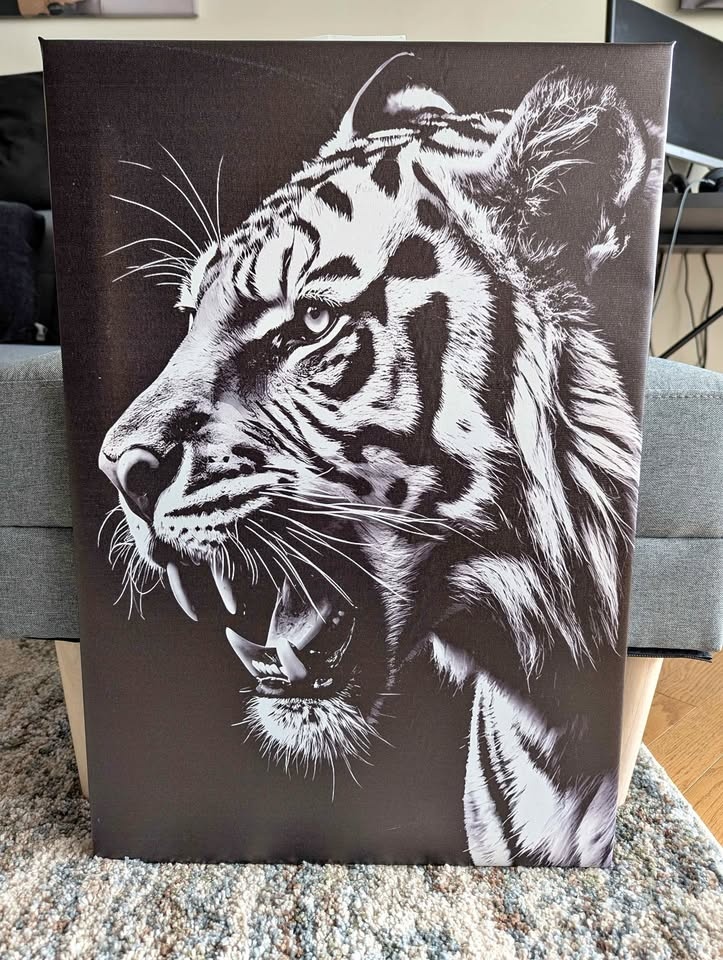 Black/White Tiger Canvas Wall Art 17.5" x 25.5"