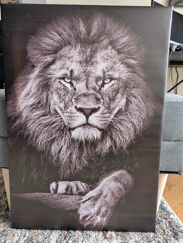 Black/White Lion Canvas Wall Art 17.5" x 25.5"