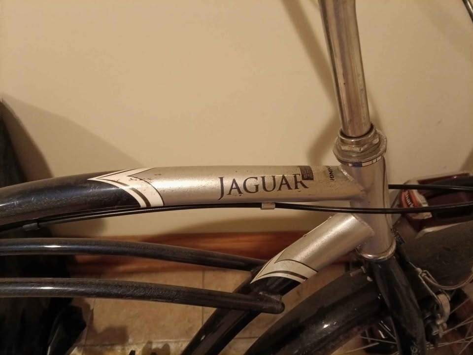 Schwinn Vintage Bicycle - photo 3