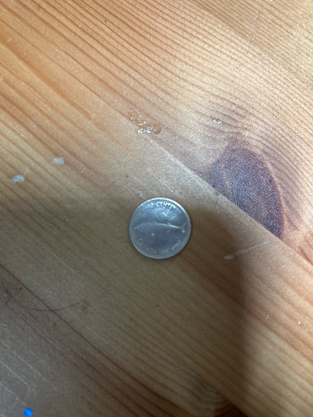 10 cent silver dime 1867-1967 - photo 2
