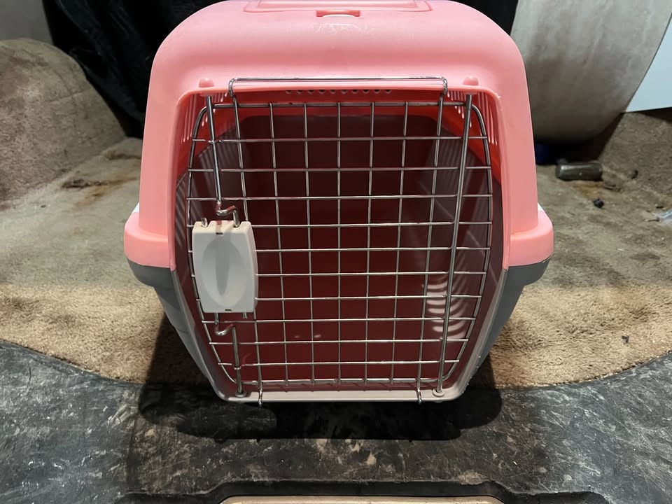 Carrier for Small Animals - photo 2
