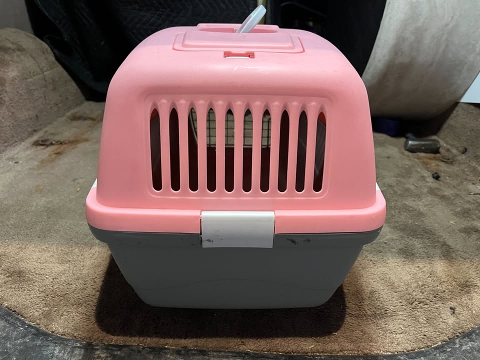Carrier for Small Animals - photo 4