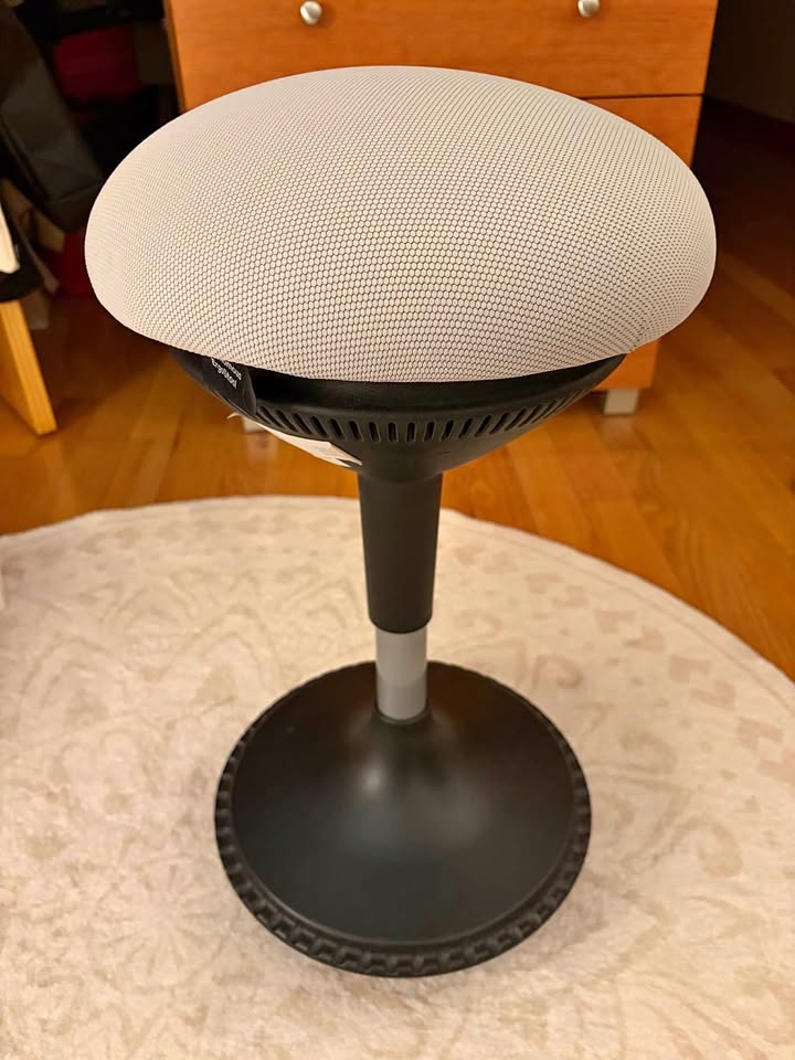 Ergonomic Stool (ErgoStool by Autonomous) 🥕