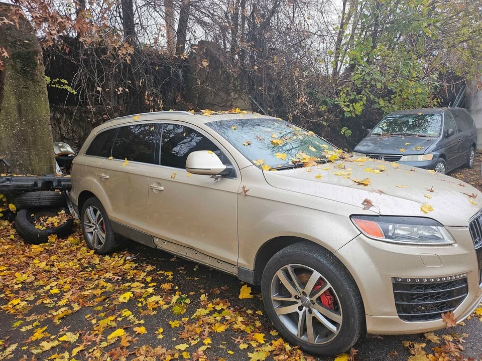 Audi Q7 2008 Premium Plus 3.6L V6 - photo 3