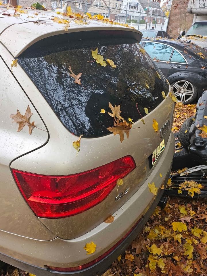 Audi Q7 2008 Premium Plus 3.6L V6 - photo 4