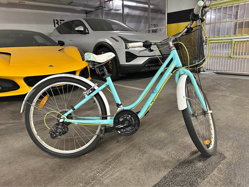 Liv Step-Through Cruiser Bike w/ Basket + Fenders (7-Speed)
