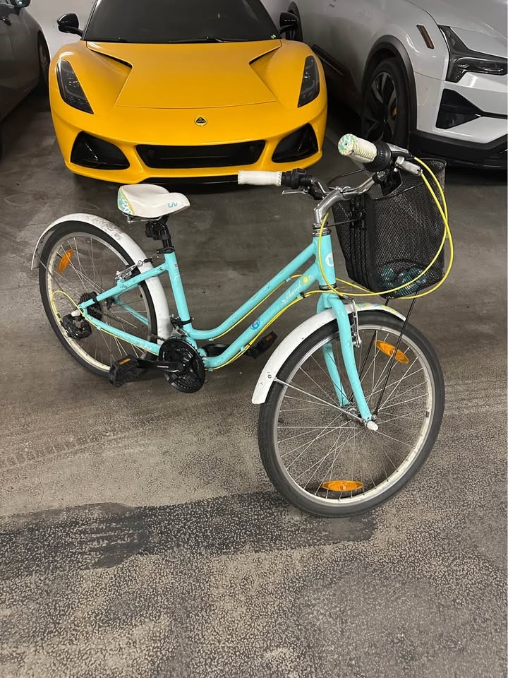 Liv Step-Through Cruiser Bike w/ Basket + Fenders (7-Speed) - photo 3
