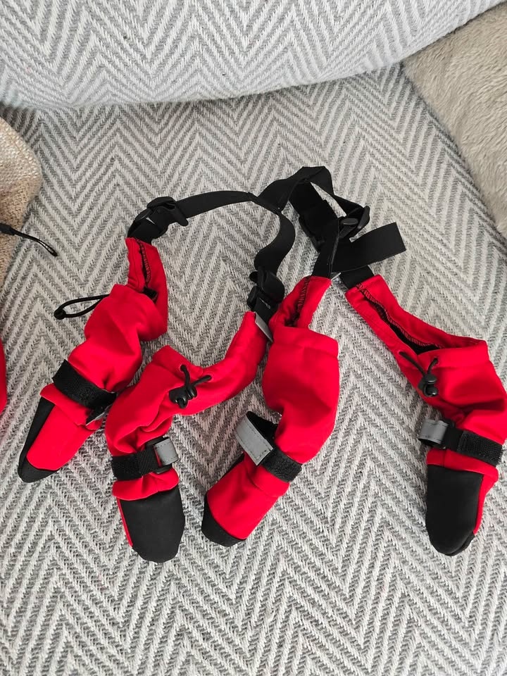 Canada Pooch Winter Dog Snow Suit & Boots - Red - photo 4